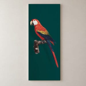 Canlı Renkli Macaw Papağanı ,Kanvas Tablo